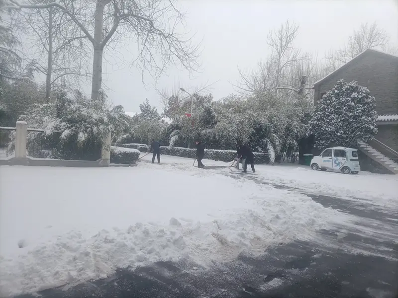 集團機關支部開展掃雪除冰保暢通活動